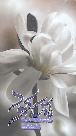 ياس كبود