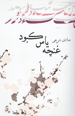 غنچه ياس كبود