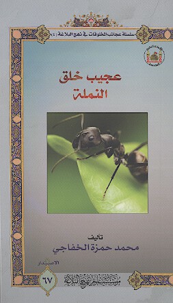 عجيب خلق النمله سلسله عجايب المخلوقات في نهج البلاغه 4