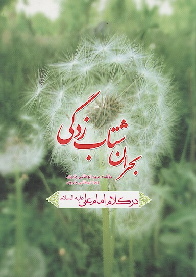 بحران شتاب زدگي در كلام امام علي عليه السلام