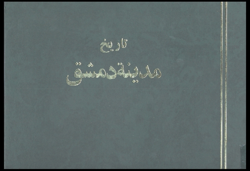 تاريخ مدينه دمشق ج 42