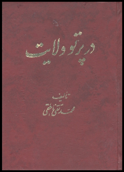 در پرتو ولايت