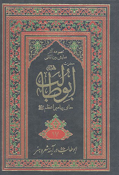 مجموعه آثارهمایش بین المللی حضرت ابوطالب علیه‌السلام حامی پیامبر اعظم صلی‌الله‌علیه‌وآله (ج. 17: ابوطالب در آینه شعر و هنر)